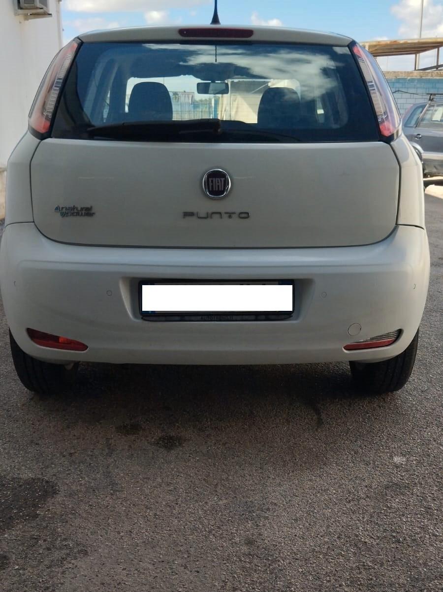 Fiat Punto 1.4 8V 5 porte NATURALpower Lounge