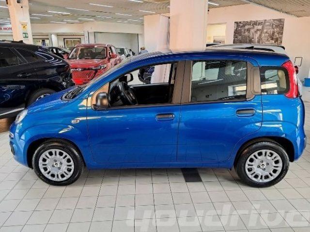 FIAT New Panda 1.0 FireFly S&S Hybrid +5 POSTI+PACK CITY KM0