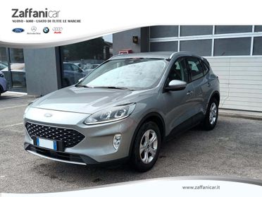 FORD Kuga 3ª serie - Kuga 1.5 EcoBlue 120 CV 2WD Titanium Business