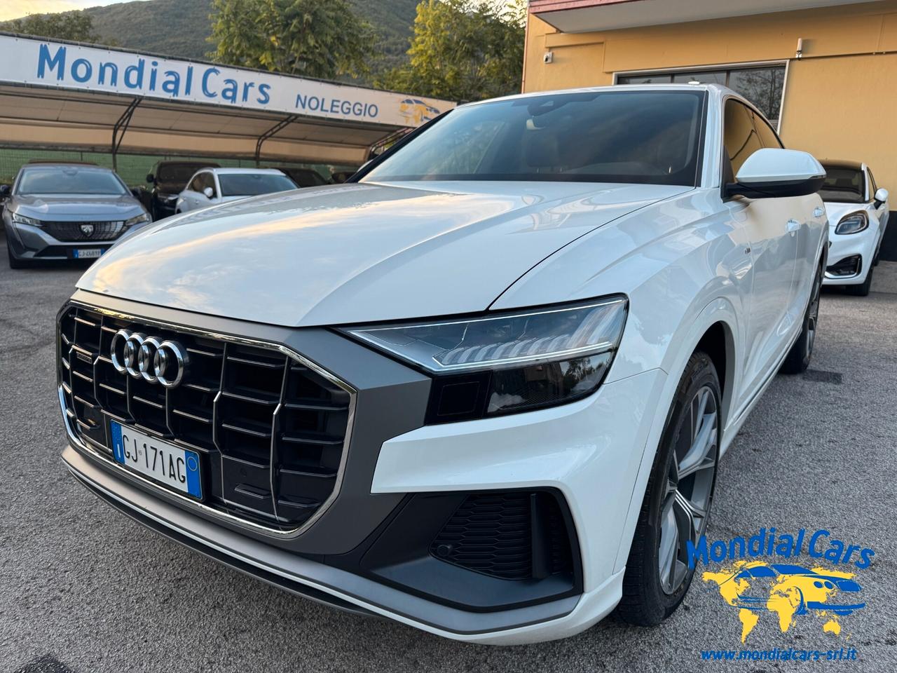 Audi Q8 45 TDI quattro tiptronic Sport