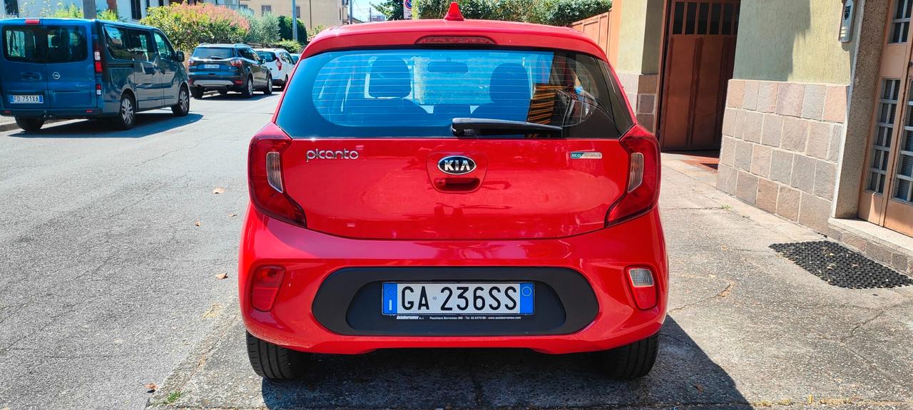 Kia Picanto 1.0 12V 5 porte Active