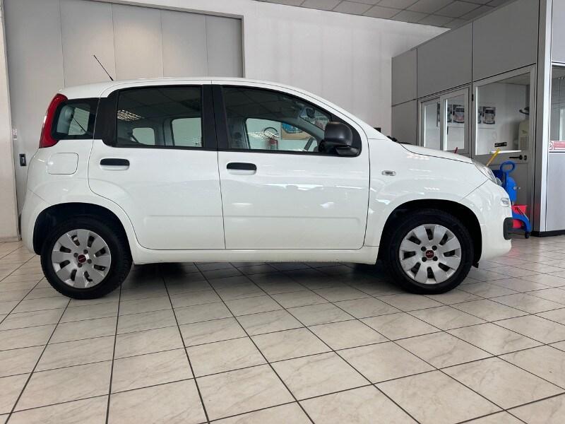 FIAT Panda 3ª serie Panda 1.2 Easy