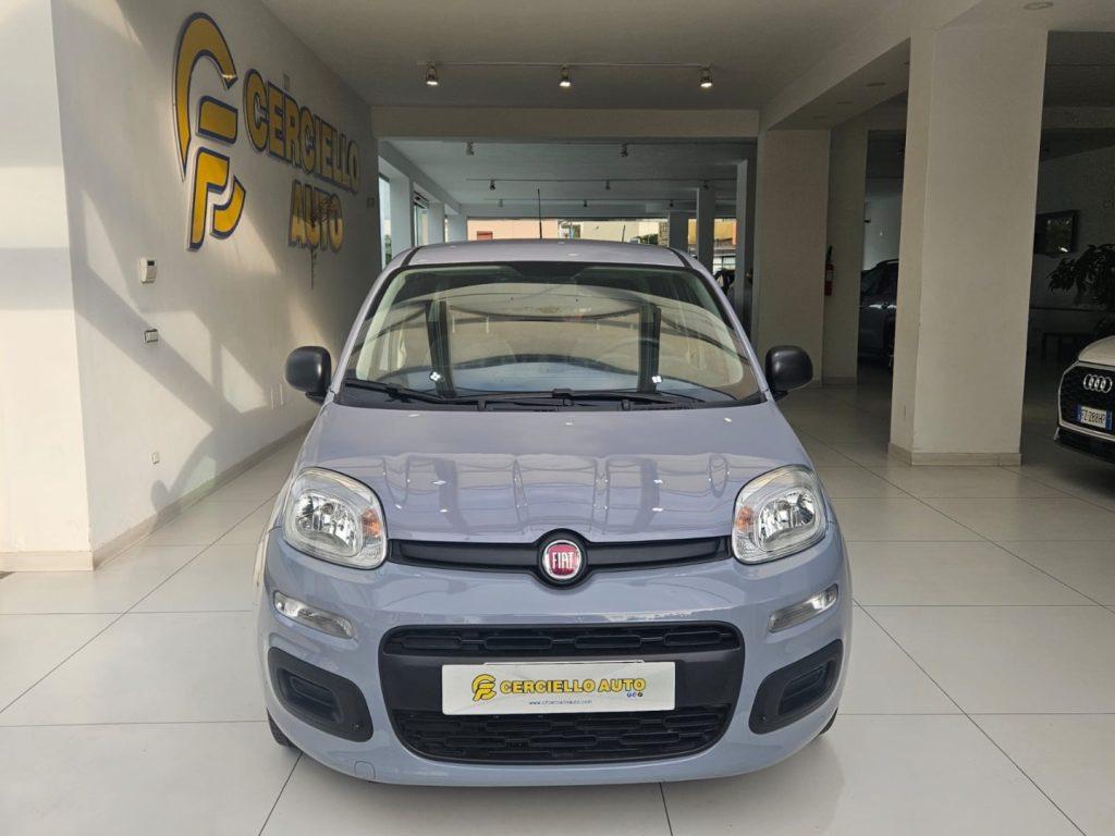 Fiat Panda 1.0 FireFly S&S Hybrid da €119,00 mensili