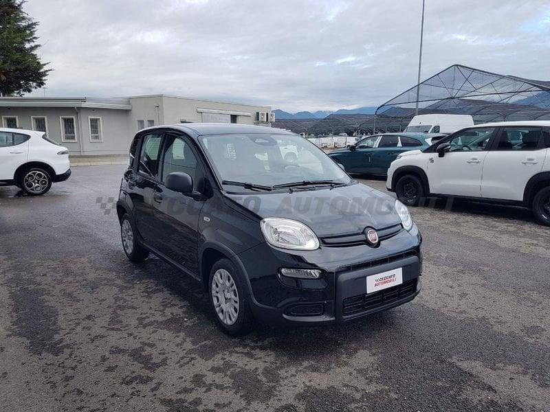 FIAT Panda Panda 1.0 70cv Hybrid Panda