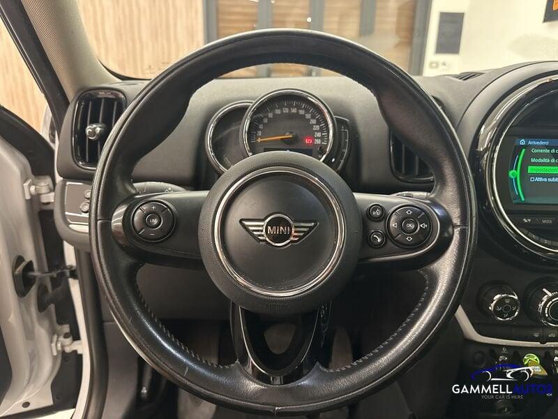 MINI Mini Countryman F60 Mini 1.5 Cooper SE Countryman ALL4 Automatica