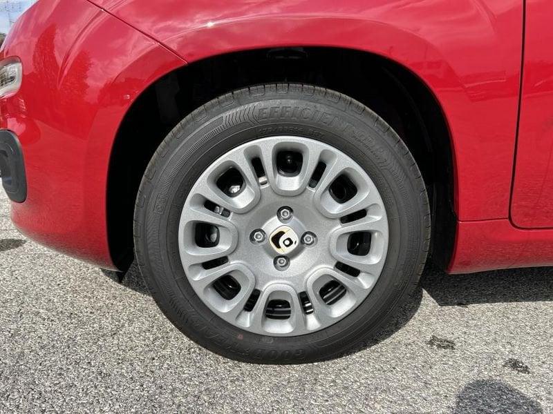 FIAT Panda Pandina 1.0 65 CV Hybrid Icon OK NEOPATENTATI