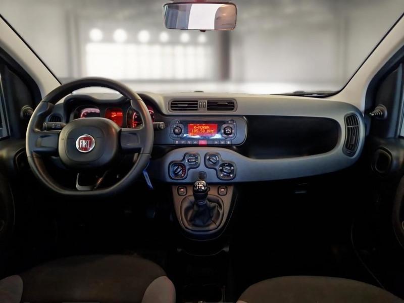 FIAT PANDA 1.2 69cv E6d-Temp Easy 5 PORTE