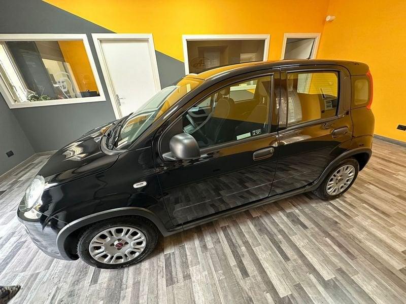 FIAT Panda Panda 1.0 FireFly S&S Hybrid PREZZO VERO