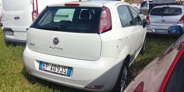 FIAT Punto 1.4 8V 5 porte Natural Power Lounge