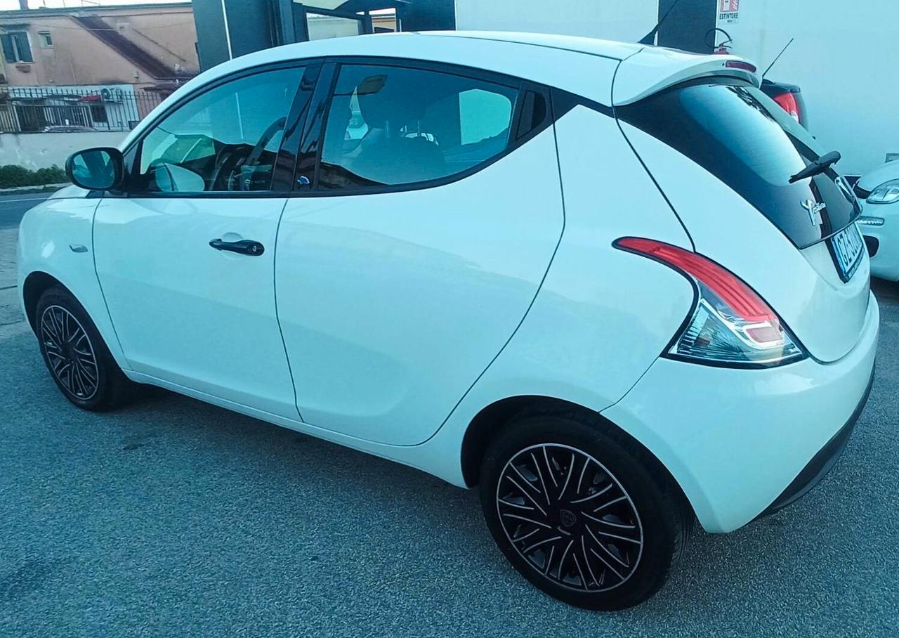 Lancia Ypsilon GPL SENZA BUSTA PAGA