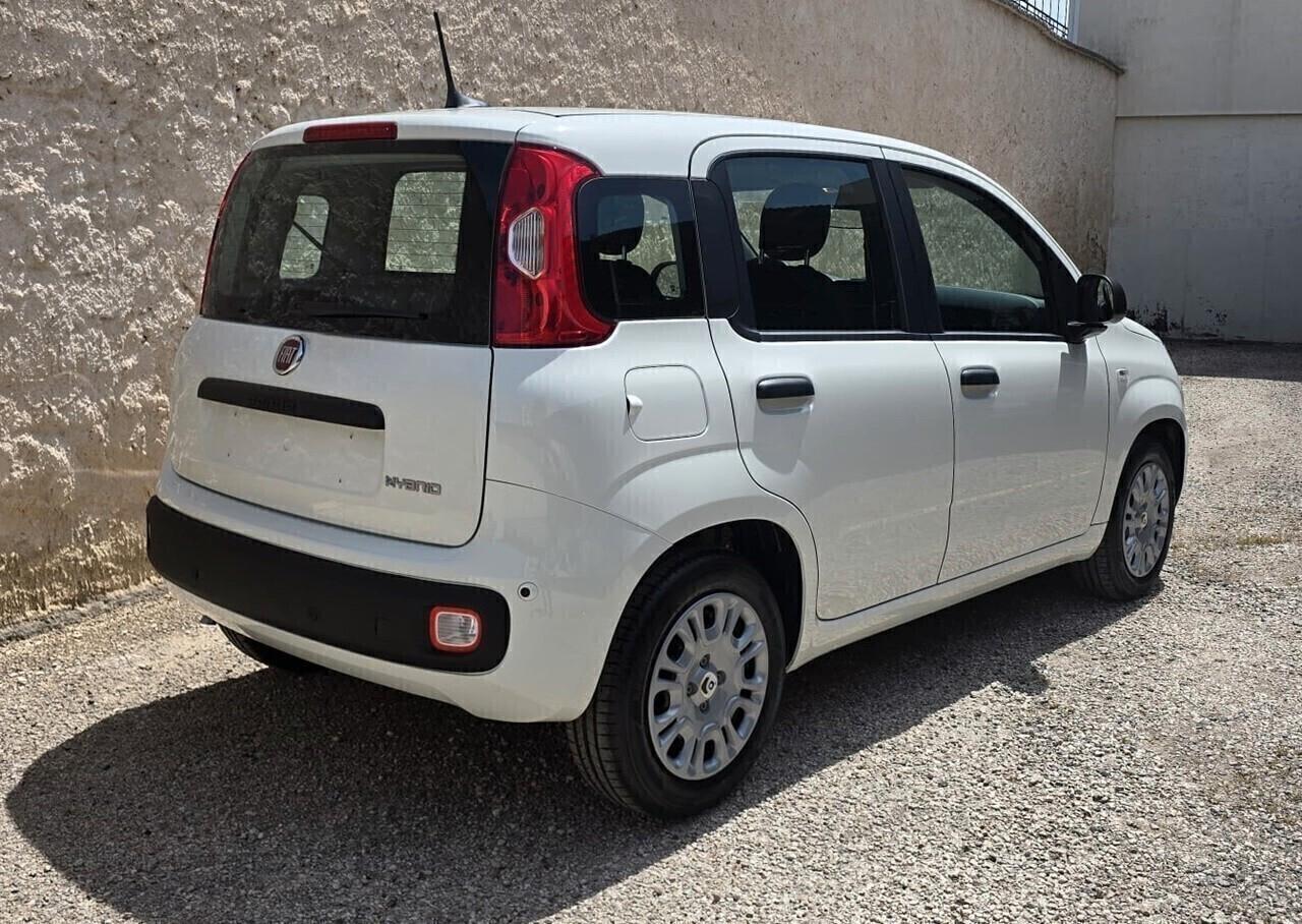 Fiat Panda 1.0 70 CV S&S Hybrid - Nuova Km Zero
