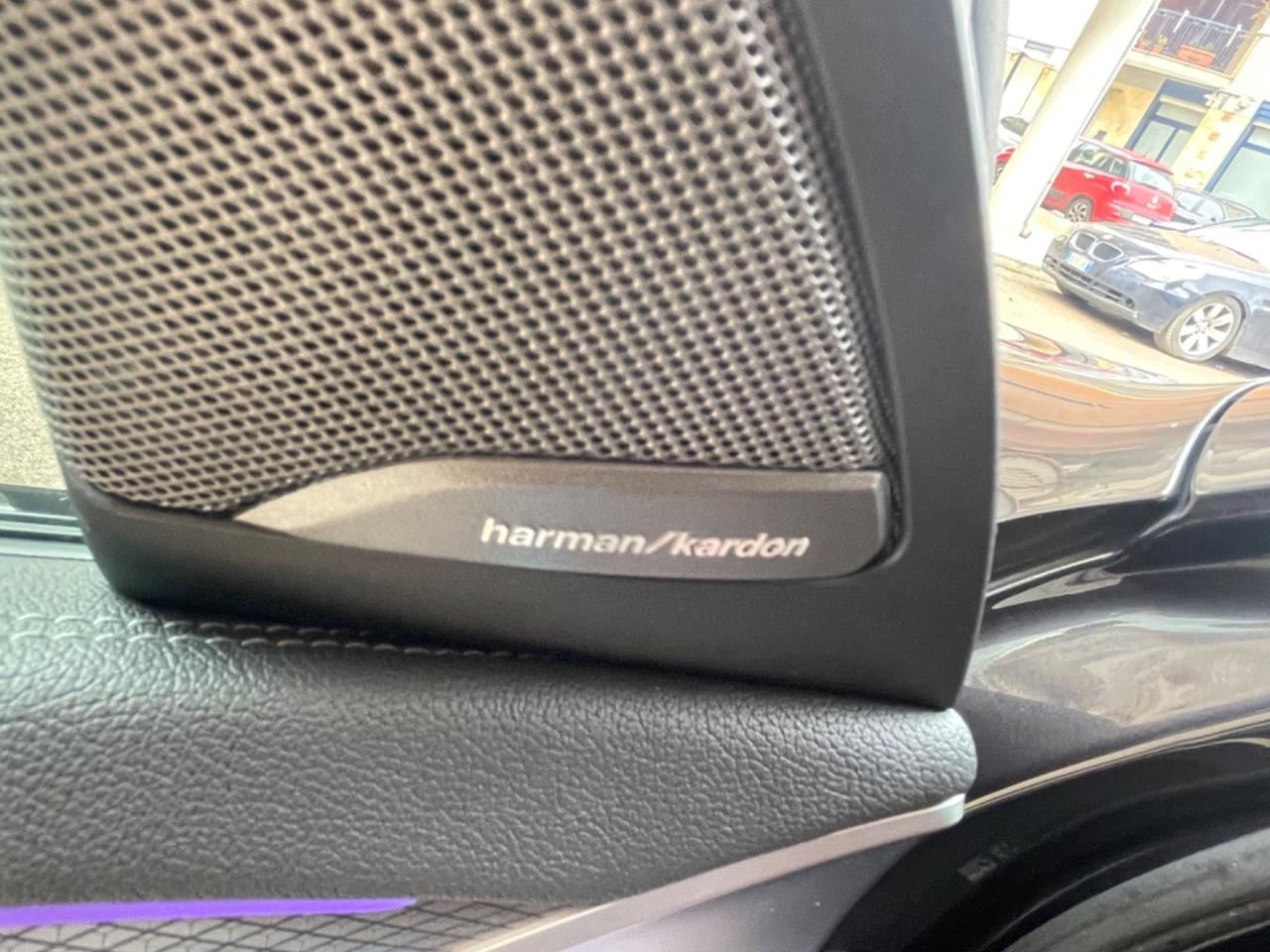 Bmw X4 xDrive 20d 48V 190cv Msport TETTO NAVY PELLE LED H/K 21