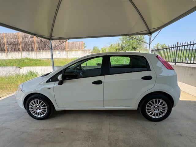 FIAT Punto 1.2 8V 5 porte EURO 6 OK NEOPATENTATI