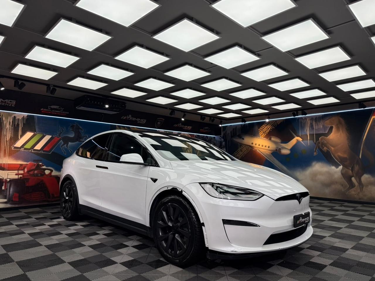 Tesla Model X Dual Motor AWD (803)
