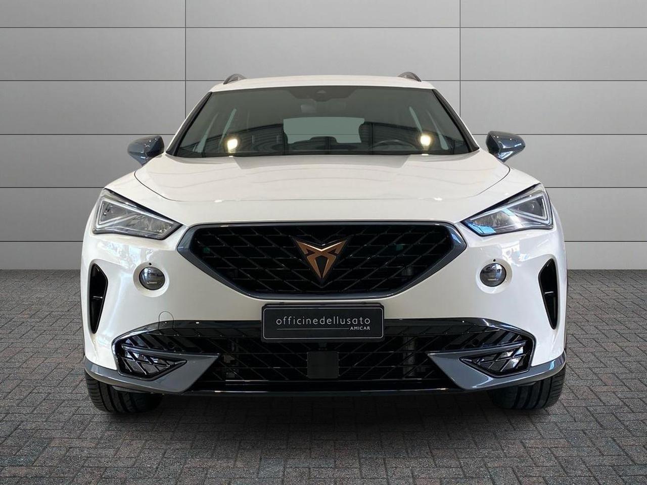 Cupra Formentor 2.0 tdi 150cv
