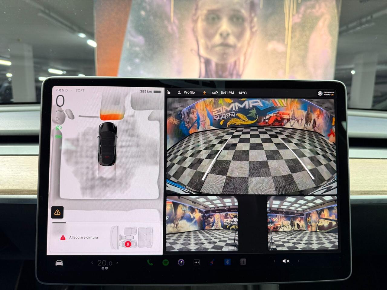 Tesla Model Y RWD (995)