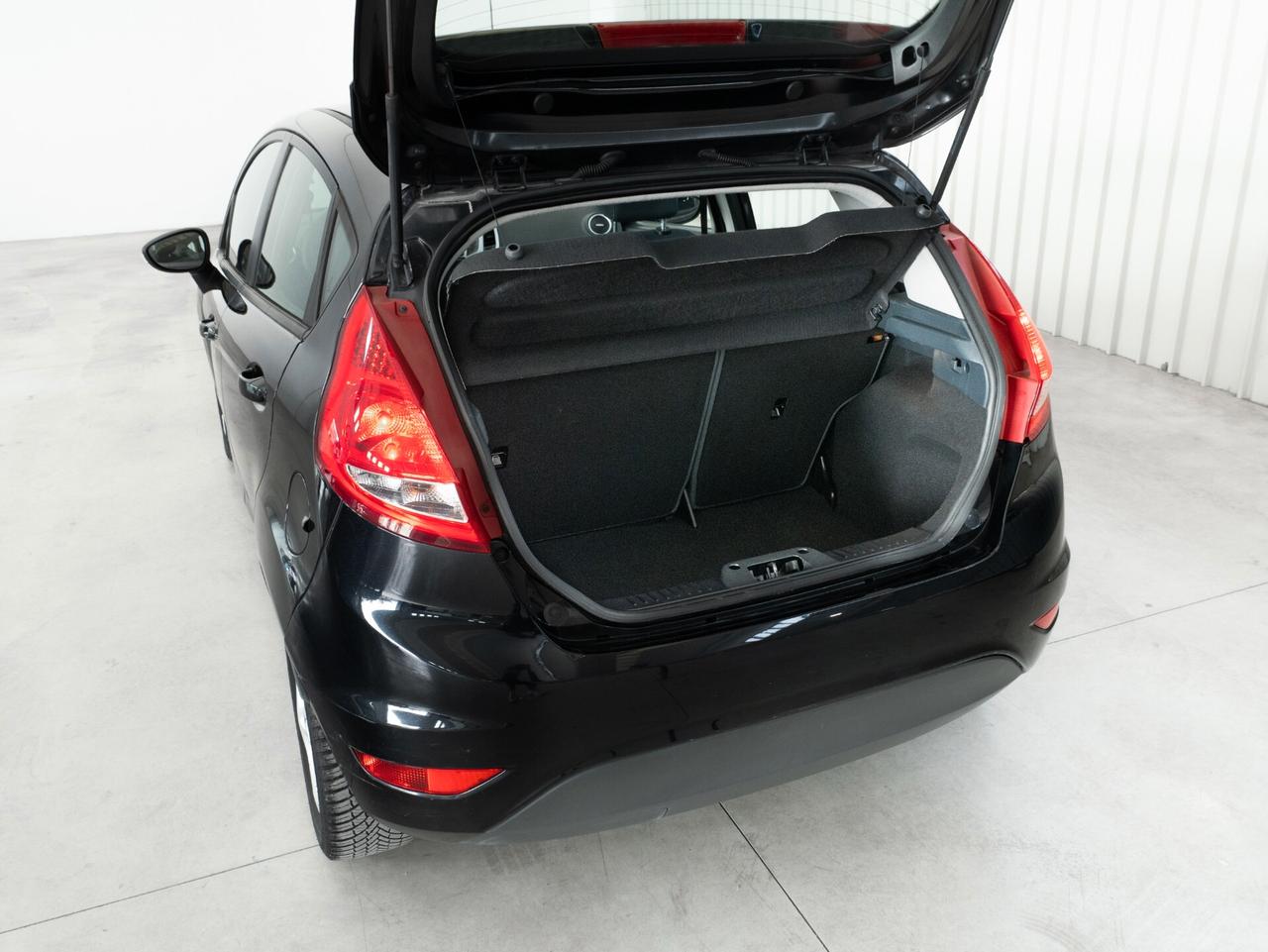 Ford Fiesta 1.2 82 CV 5 porte Titanium