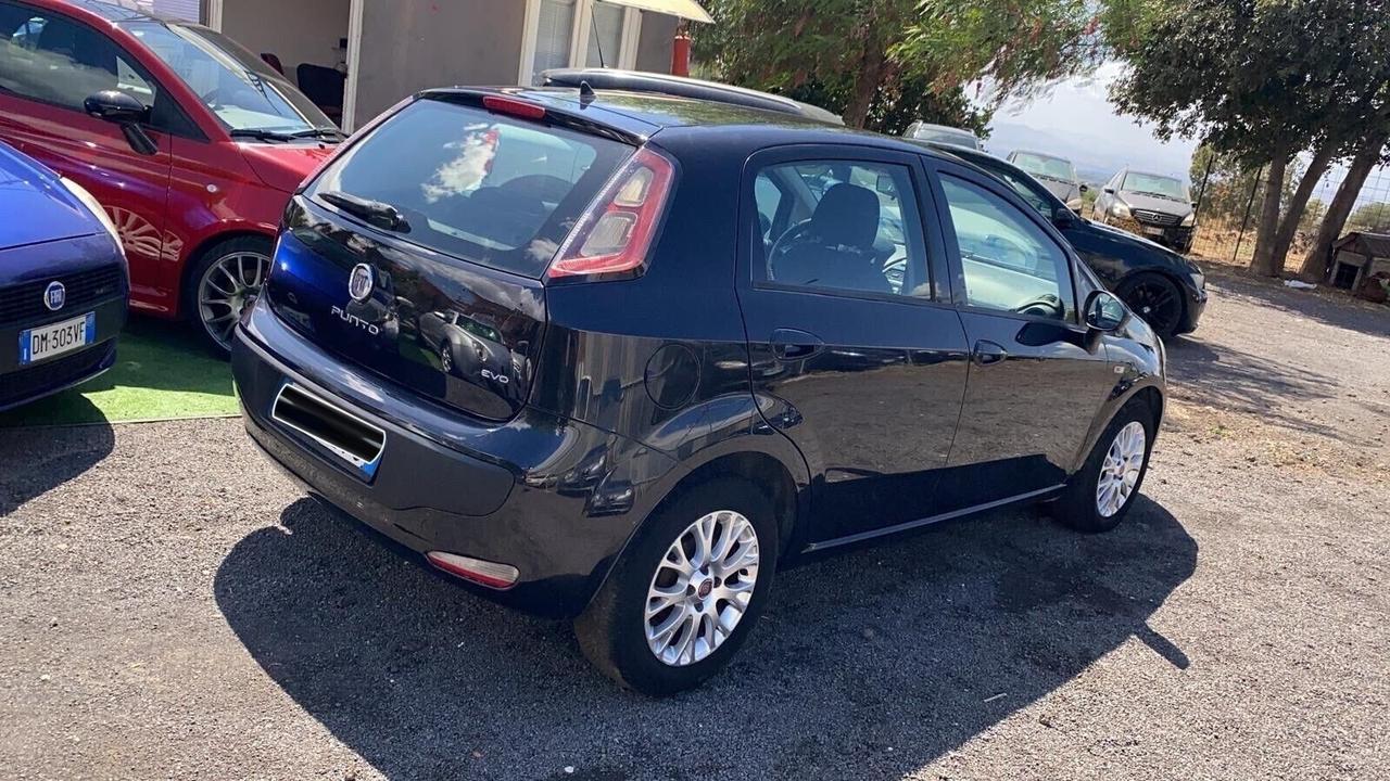 Fiat Punto Evo Ok neopatentati