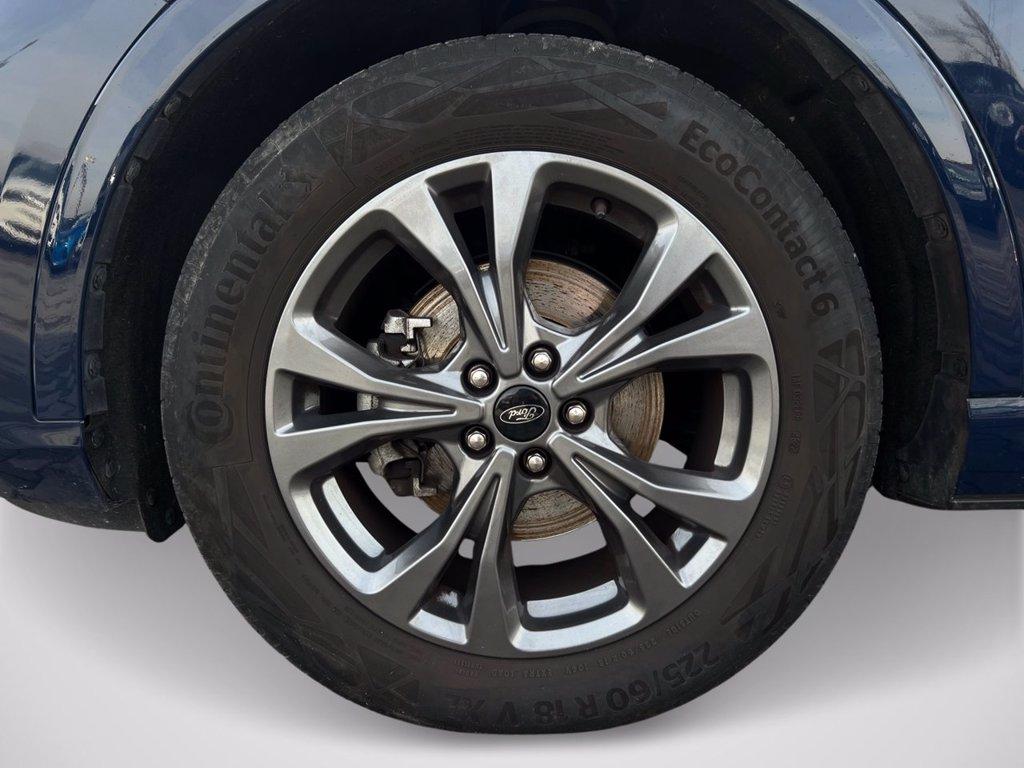 FORD Kuga 1.5 EcoBoost 150 CV 2WD ST-Line del 2023