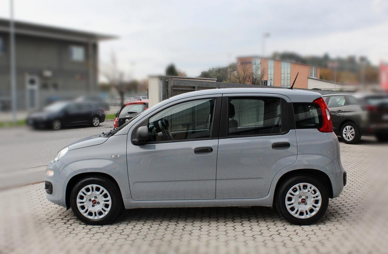 Fiat Panda 1.0 FireFly S&S Hybrid ***BLACK WEEK -5% di sconto***