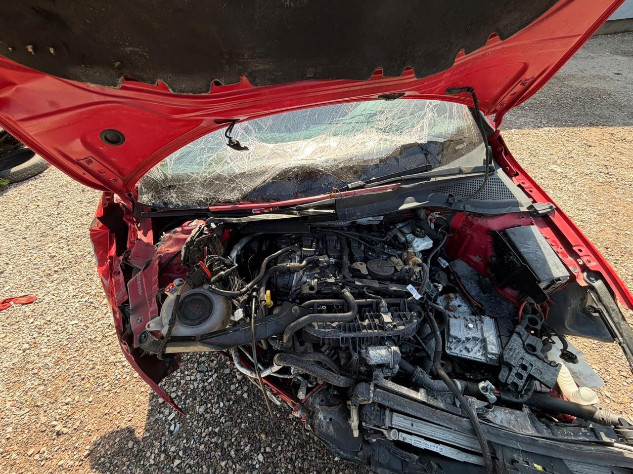 Volkswagen Golf GTI Performance 2.0 245 CV TSI 5p. BMT sinistrato