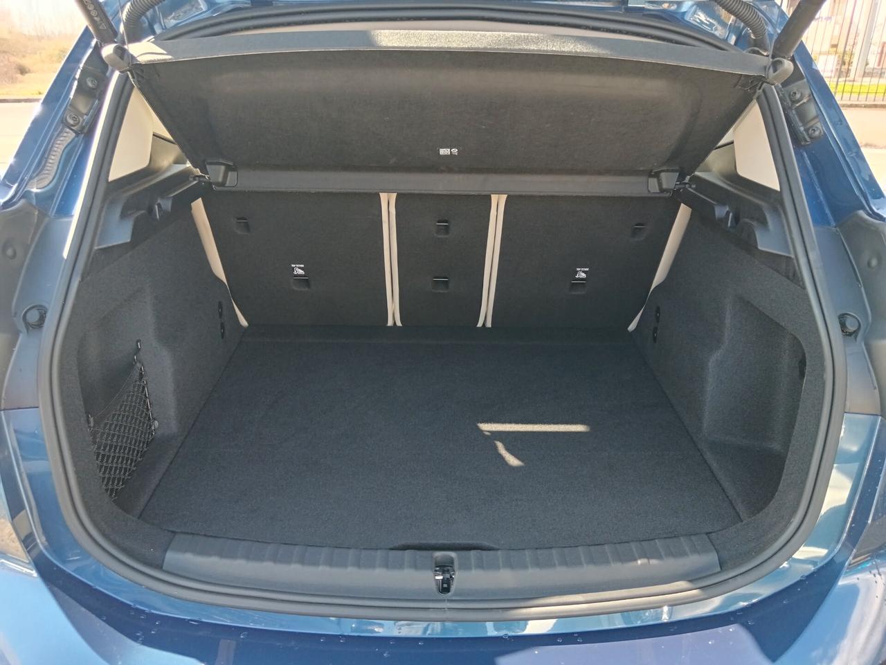 Bmw 2er Active Tourer 218d Luxury