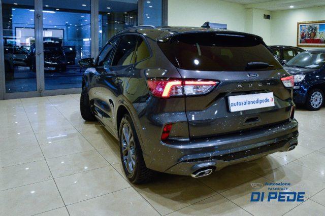 FORD Kuga 1.5 EcoBlue 120 CV 2WD ST-Line