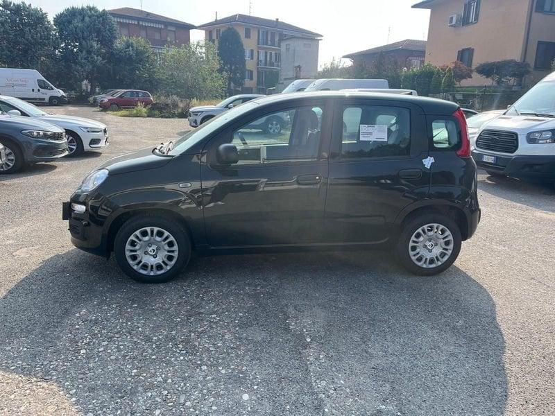 FIAT Panda Panda 1.0 FireFly S&S Hybrid Pop