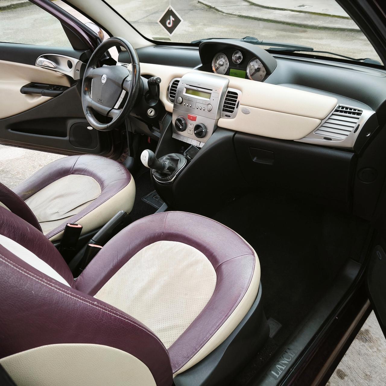 Lancia Ypsilon 1.3 MJT 90 CV Platino