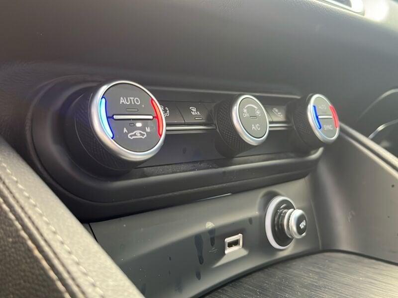 Alfa Romeo Stelvio Stelvio 2.2 TD 190 CV Super Business AT8 Q4
