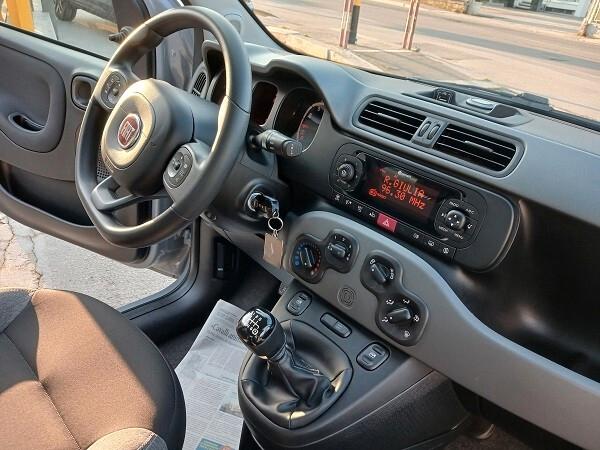 FIAT PANDA HYBRID 1.0 FireFly 70 CV S&S CITY LIFE