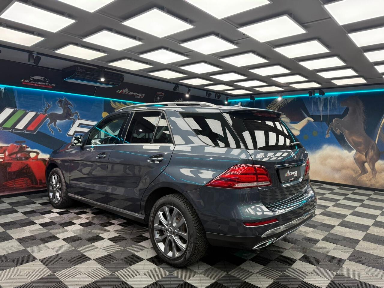 Mercedes-benz GLE 250 d 4Matic Exclusive Plus (672)