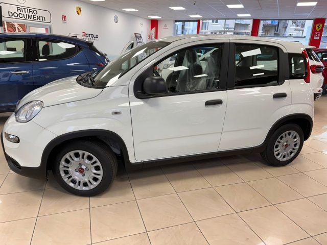 FIAT New Panda 1.0 FireFly S&S Hybrid SENZA FINANZIAMENTO