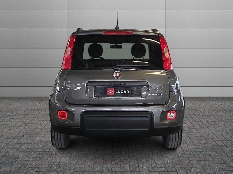 FIAT Panda 3ª serie 1.0 FireFly S&S Hybrid