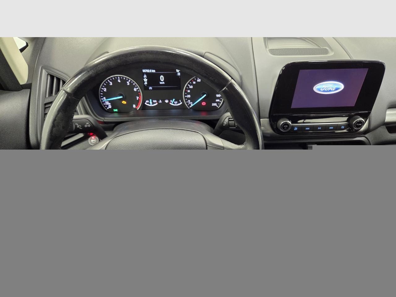 FORD EcoSport 1.0 EcoBoost 100 CV Plus GPL