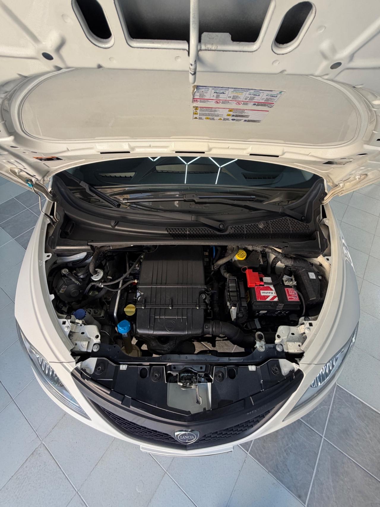 Lancia Ypsilon 1.2 69 CV 5 porte GPL Ecochic Elefantino Blu