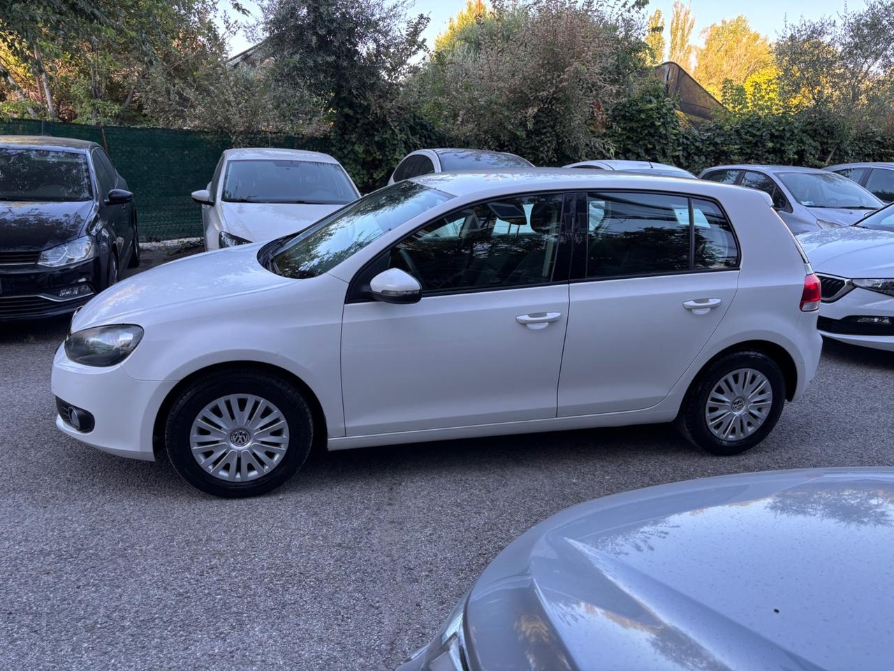 Volkswagen Golf 1.6 TDI DPF 5p. Comfortline
