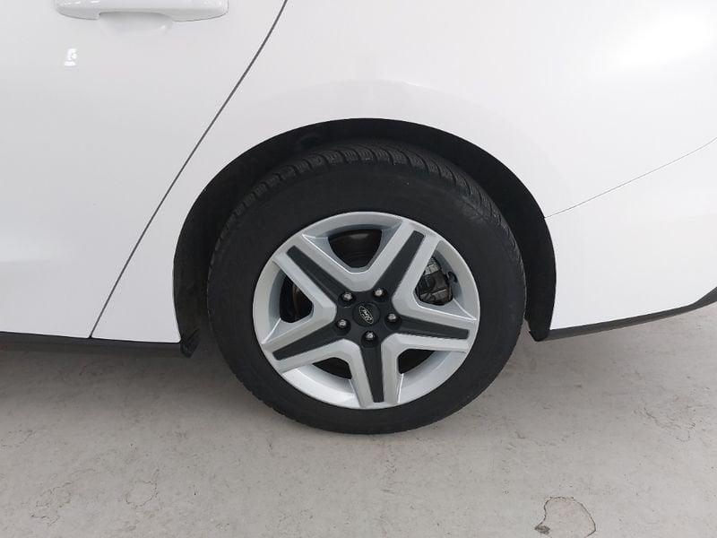 Ford Focus Focus 1.5 EcoBlue 120 CV SW Business