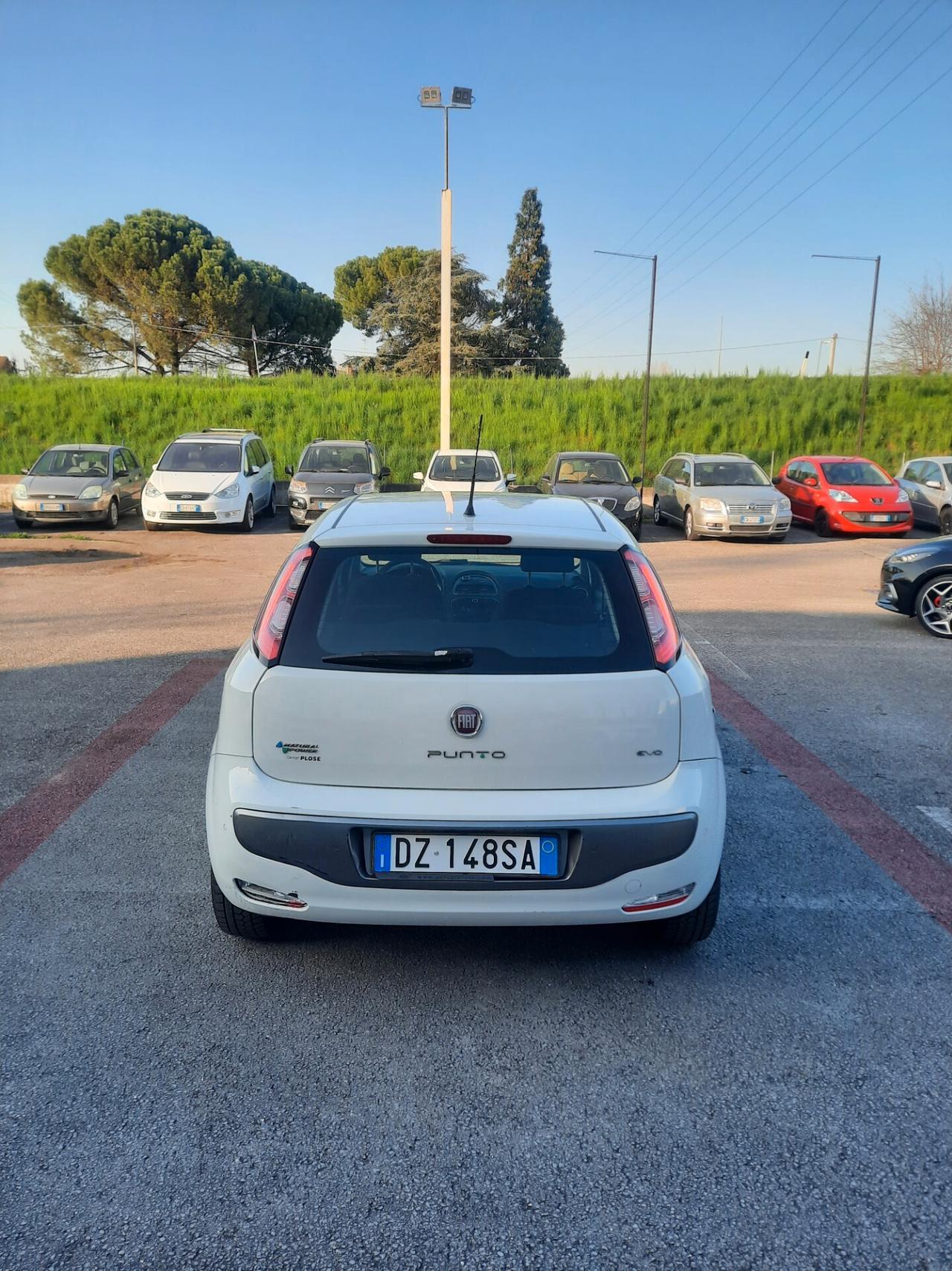 Fiat Grande Punto 1.4 5 porte Dynamic Natural Power