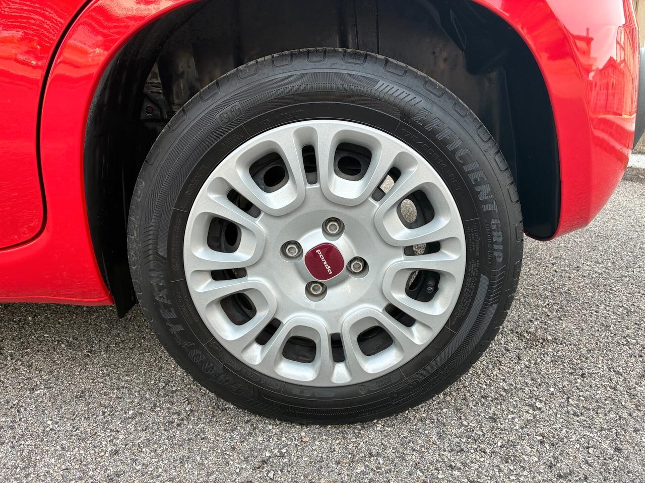 Fiat Panda 1.0 FireFly S&S Hybrid *PREZZO REALE*