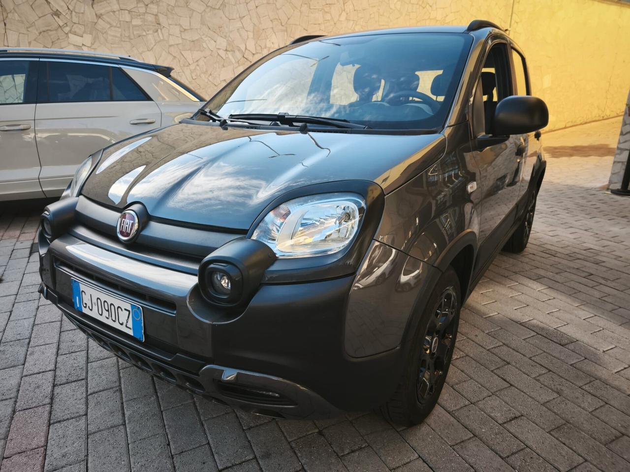 Fiat Panda Cross 1.0 FireFly S&S Hybrid