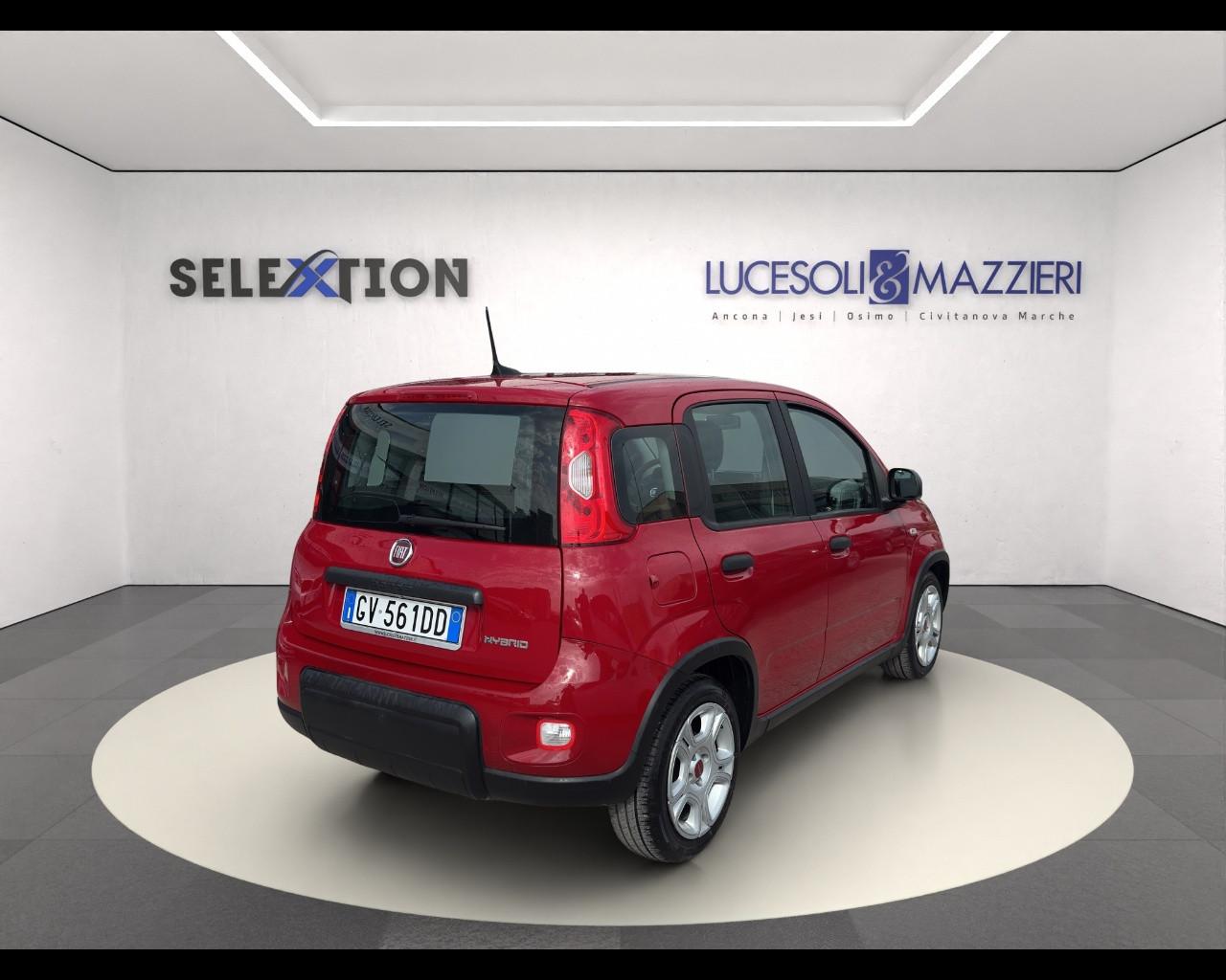 FIAT Panda My23 1.0 70cv Hybrid Panda