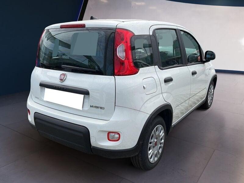 FIAT Panda My23 1.0 70cv Hybrid Panda