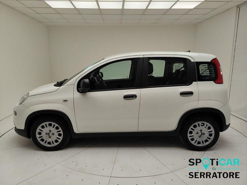 FIAT Pandina Panda Serie 7 1.0 70cv HybridPanda