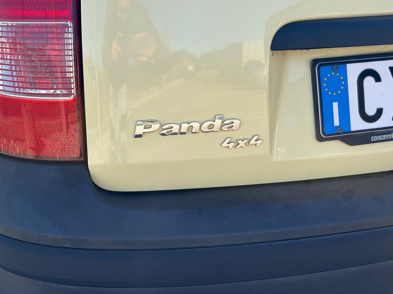 Fiat Panda 1.2 4x4 Gpl UNICO PROPRIETARIO