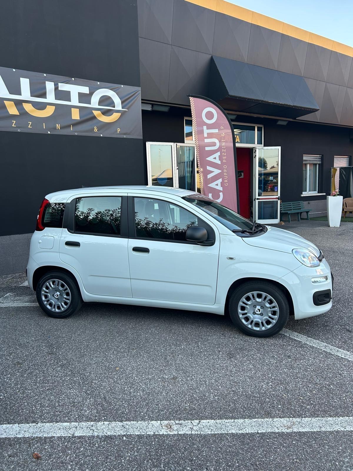 Fiat Panda Pandina 1.0 FireFly 65 CV Hybrid Icon