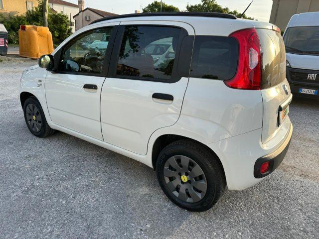 FIAT Panda OK NEO PAT. 1.2 Easy
