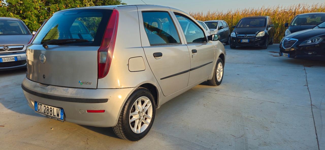Fiat Punto 1.2 5 porte Active Natural Power
