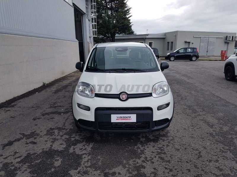 FIAT Panda Panda 1.0 70cv Hybrid Panda