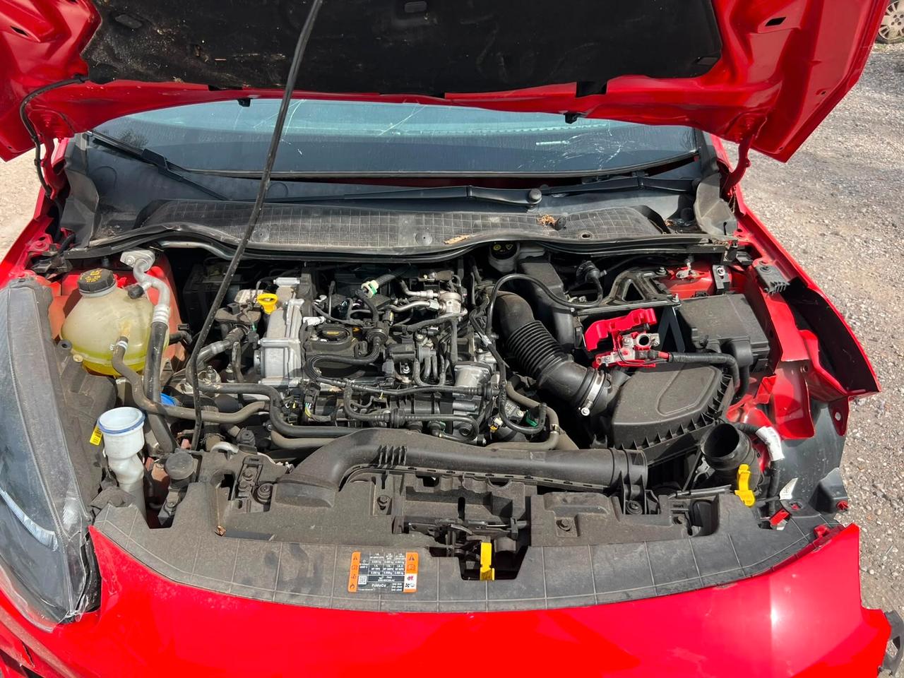 Ford Fiesta 1.0 Ecoboost Hybrid 125 CV 5 porte ST-Line